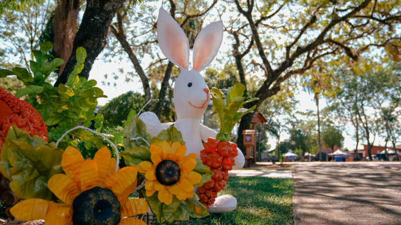 Misiones registró un 83% de ocupación hotelera durante Semana Santa imagen-8
