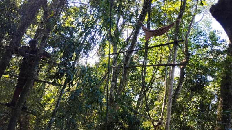 Operativo de control en el Parque Salto Encantado permitió detectar y desarmar estructuras utilizadas para la caza furtiva imagen-2