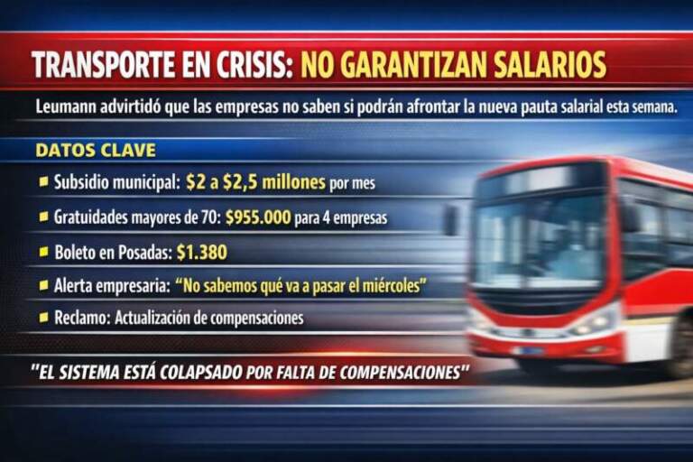Transporte en Posadas: advierten que no saben si podrán pagar salarios esta semana imagen-24