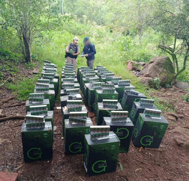 Secuestran cargamento de cigarrillos ingresado de contrabando valuado en más de $44 millones imagen-49
