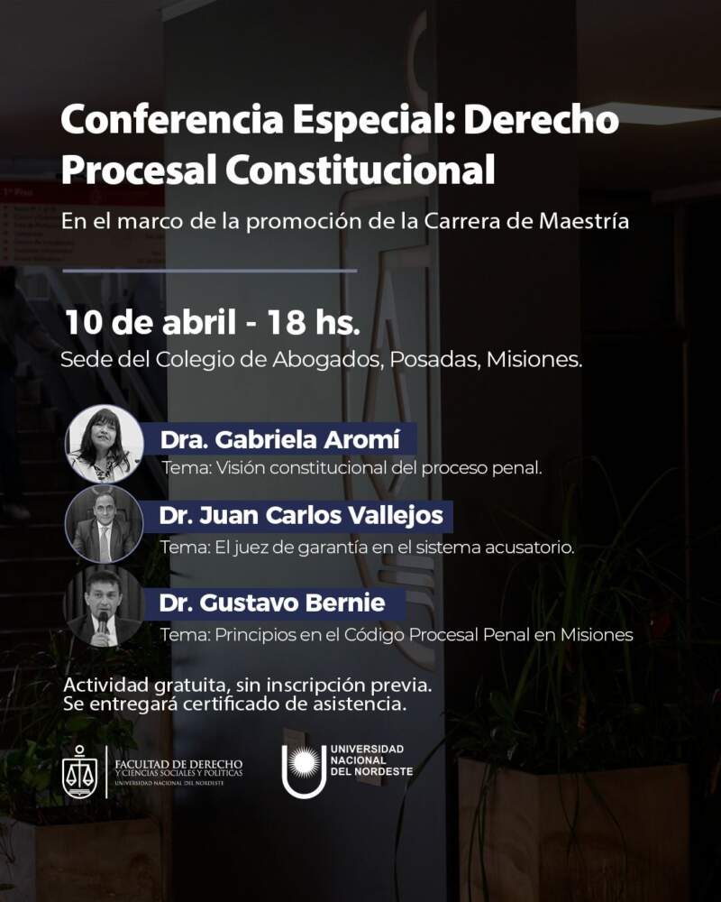 Invitan a una Conferencia especial sobre Derecho Procesal Constitucional en Posadas imagen-2