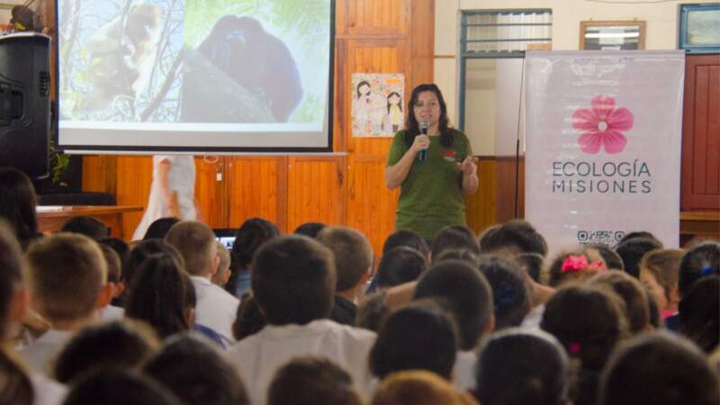 Misiones avanza en la reintroducción del mono carayá rojo para evitar su extinción en el país imagen-6