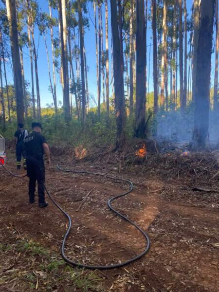 Incendio en chacra de San Vicente por caída de tendido eléctrico imagen-5