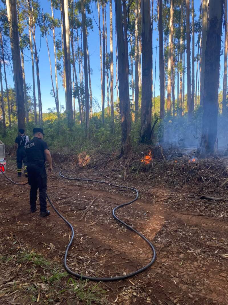 Incendio en chacra de San Vicente por caída de tendido eléctrico imagen-6