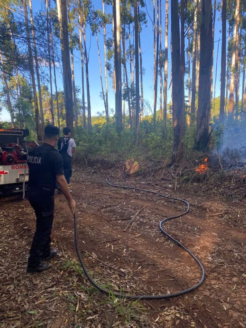 Incendio en chacra de San Vicente por caída de tendido eléctrico imagen-2
