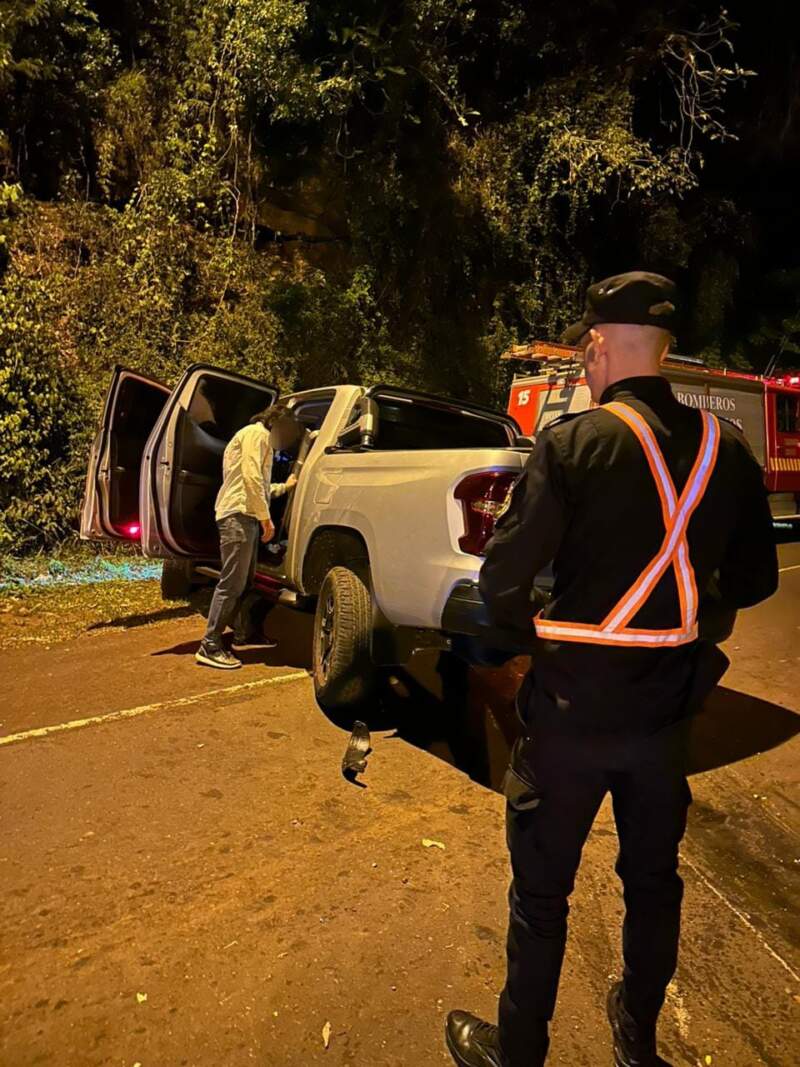 Despistó con su camioneta en la Ruta Provincial 7 imagen-2