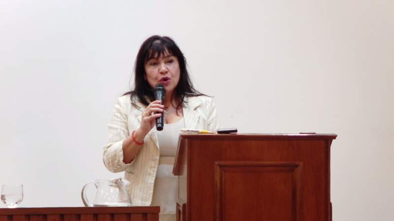 Procesos penales, garantías y reforma judicial: una conferencia que puso en debate el futuro del sistema acusatorio en Misiones imagen-4