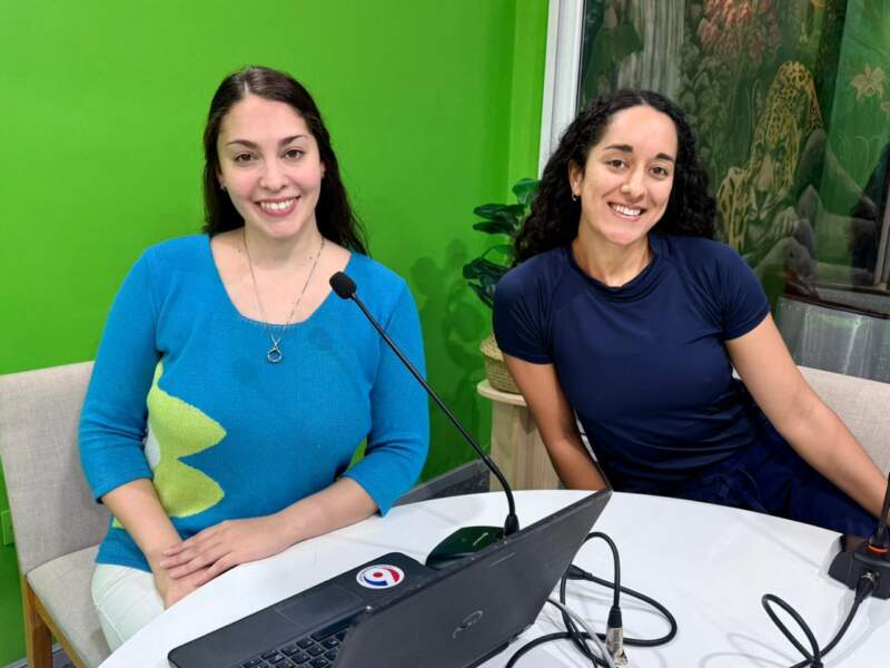 El juego en riesgo: advierten que el avance de las pantallas y el sedentarismo afecta el desarrollo físico, mental y social en la infancia 3 El juego en riesgo: advierten que el avance de las pantallas y el sedentarismo afecta el desarrollo físico, mental y social en la infancia imagen-2