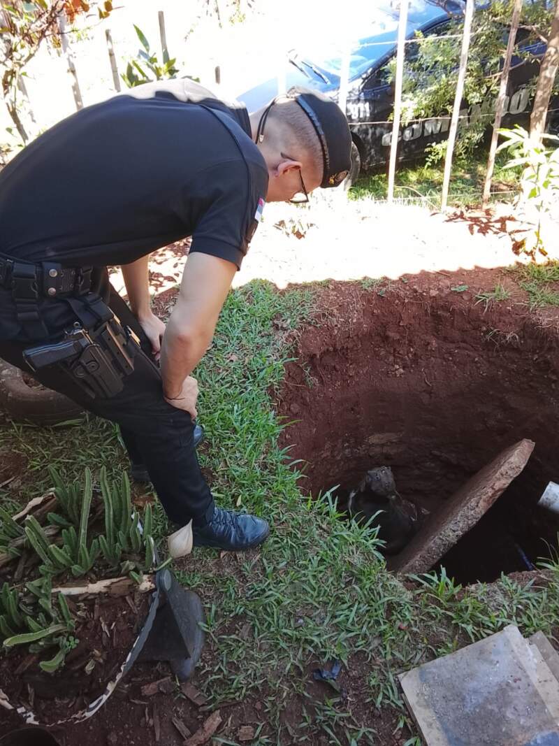 Tras un alerta vecinal la Policía rescató a un perro que había caído en un pozo en Oberá imagen-4