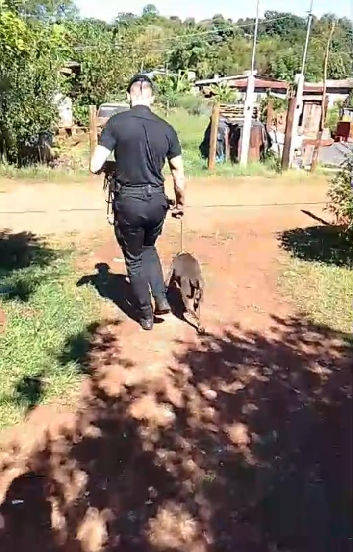 Tras un alerta vecinal la Policía rescató a un perro que había caído en un pozo en Oberá imagen-2