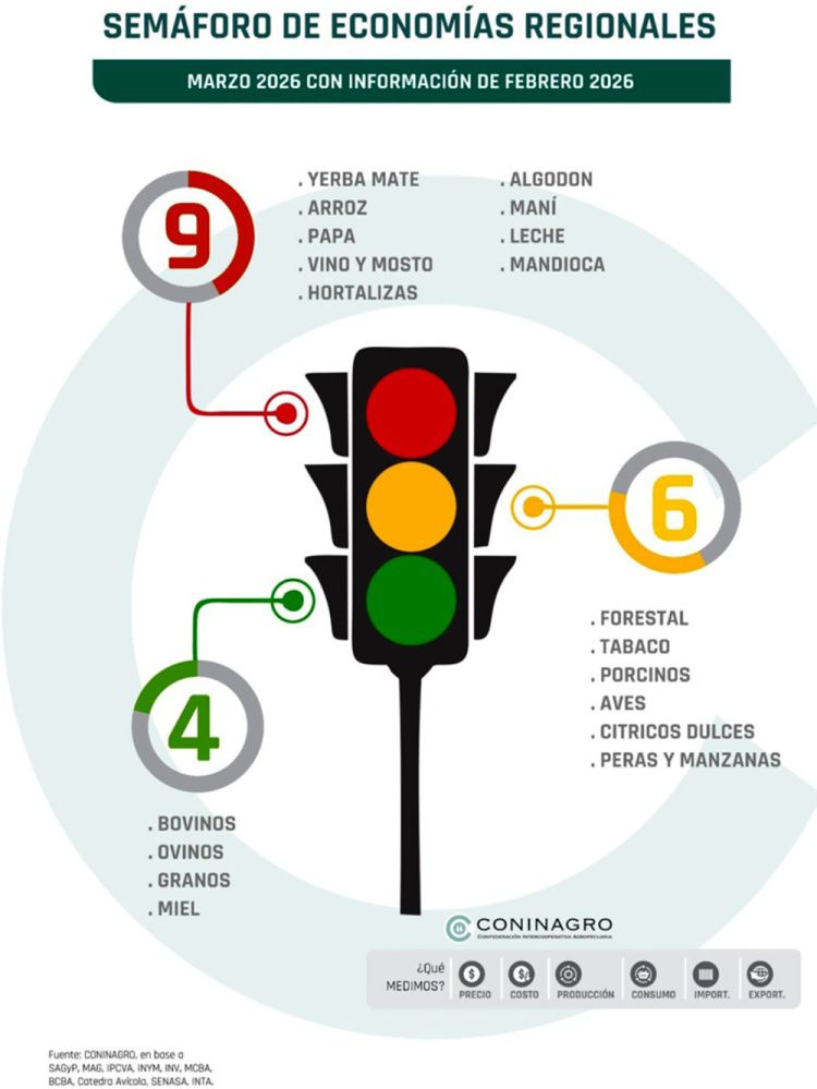 Crisis en el sector de la mandioca: el "oro blanco" misionero entra en zona roja imagen-2