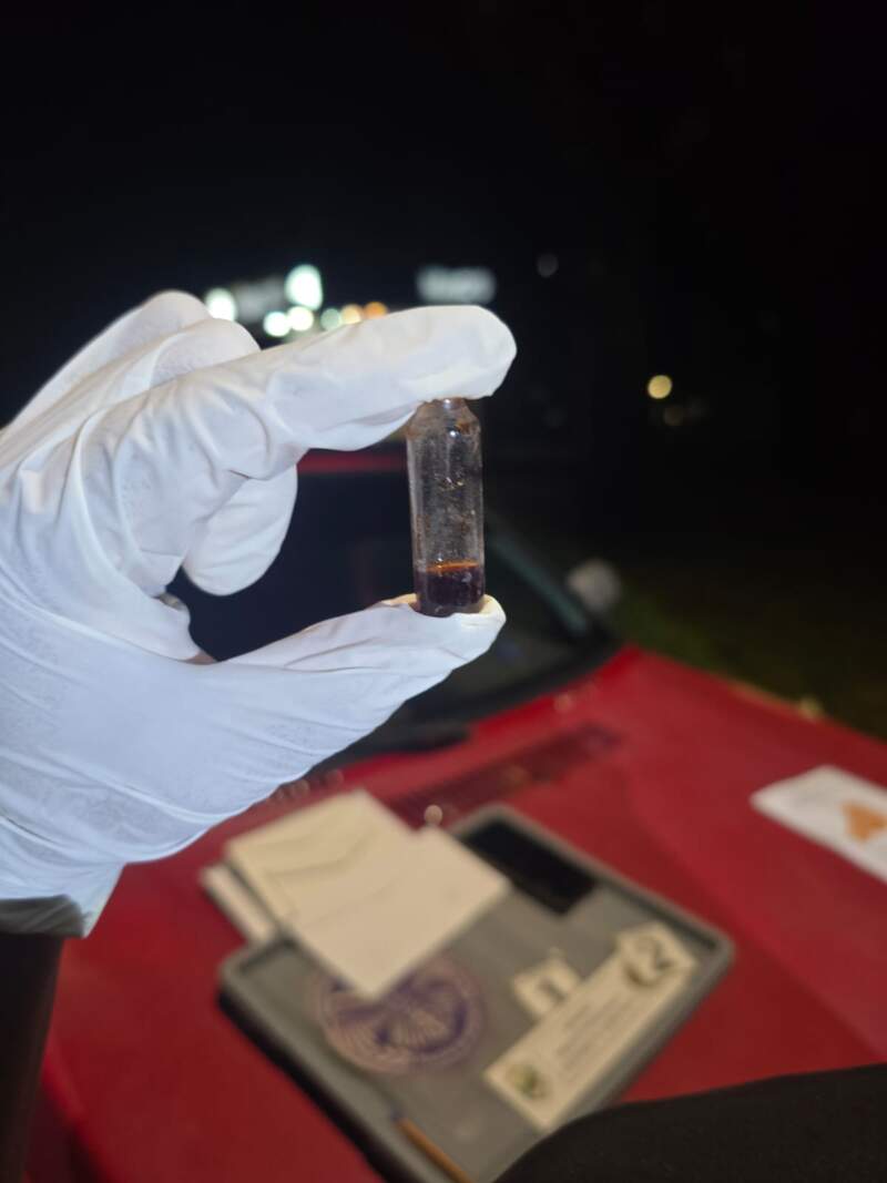 Narcomenudeo en Alem: secuestraron marihuana y notificaron a una mujer imagen-4