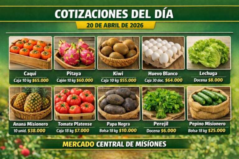 Con oferta misionera y valores de referencia, así abrió el mercado frutihortícola este 20 de abril Con oferta misionera y valores de referencia, así abrió el mercado frutihortícola este 20 de abril imagen-27
