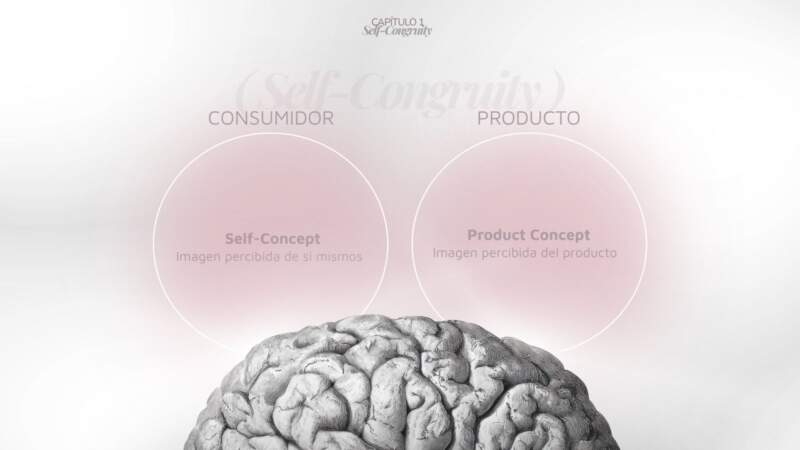 De Alem al marketing con mirada propia: la historia de Camila Tamara Fit, entre estudio, trabajo y una tesis que interpela al consumo imagen-6