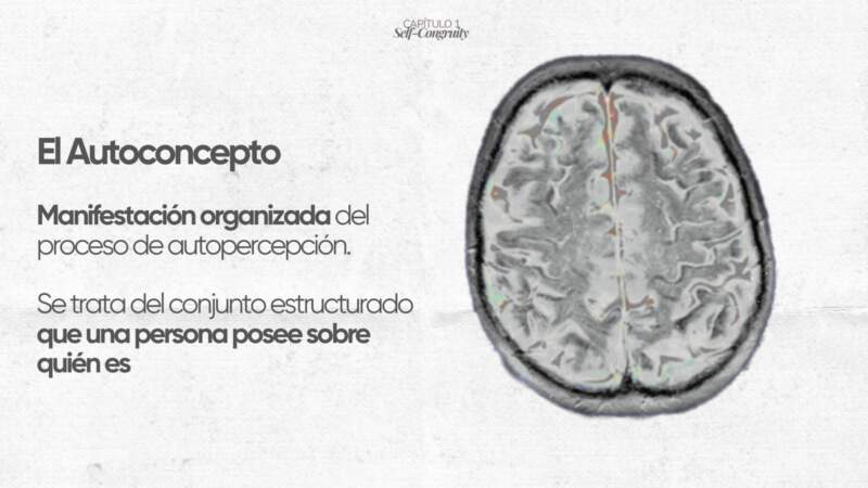 De Alem al marketing con mirada propia: la historia de Camila Tamara Fit, entre estudio, trabajo y una tesis que interpela al consumo imagen-16