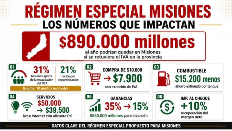 Misiones busca convertir su reclamo histórico en números concretos: menos impuestos, más consumo y más inversión Misiones busca convertir su reclamo histórico en números concretos: menos impuestos, más consumo y más inversión imagen-43