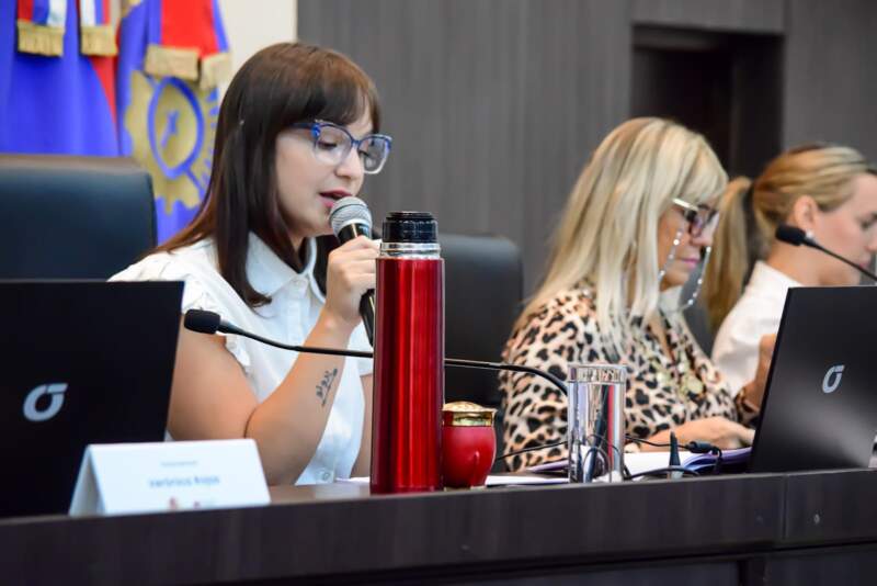 Paralmento municipal de la Mujer finalizó con un total de 47 iniciativas en la última edición imagen-2