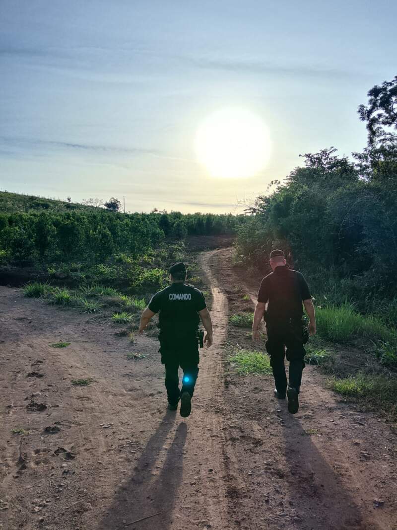 Con base de operaciones en El Soberbio, la Policía despliega un operativo estratégico que se extiende a los 79 municipios imagen-6