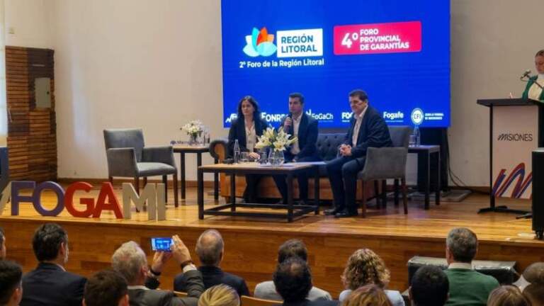 Con el objetivo de potenciar el acceso al crédito para las Pymes, se desarolló en Posadas el Foro Provincial y Regional de Garantías imagen-21