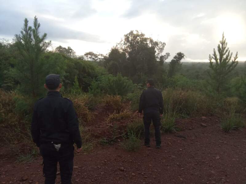 Hallaron un cuerpo en una zona rural de San Ignacio y sospechan que podria tratarse de Nicolás Muñoz imagen-2