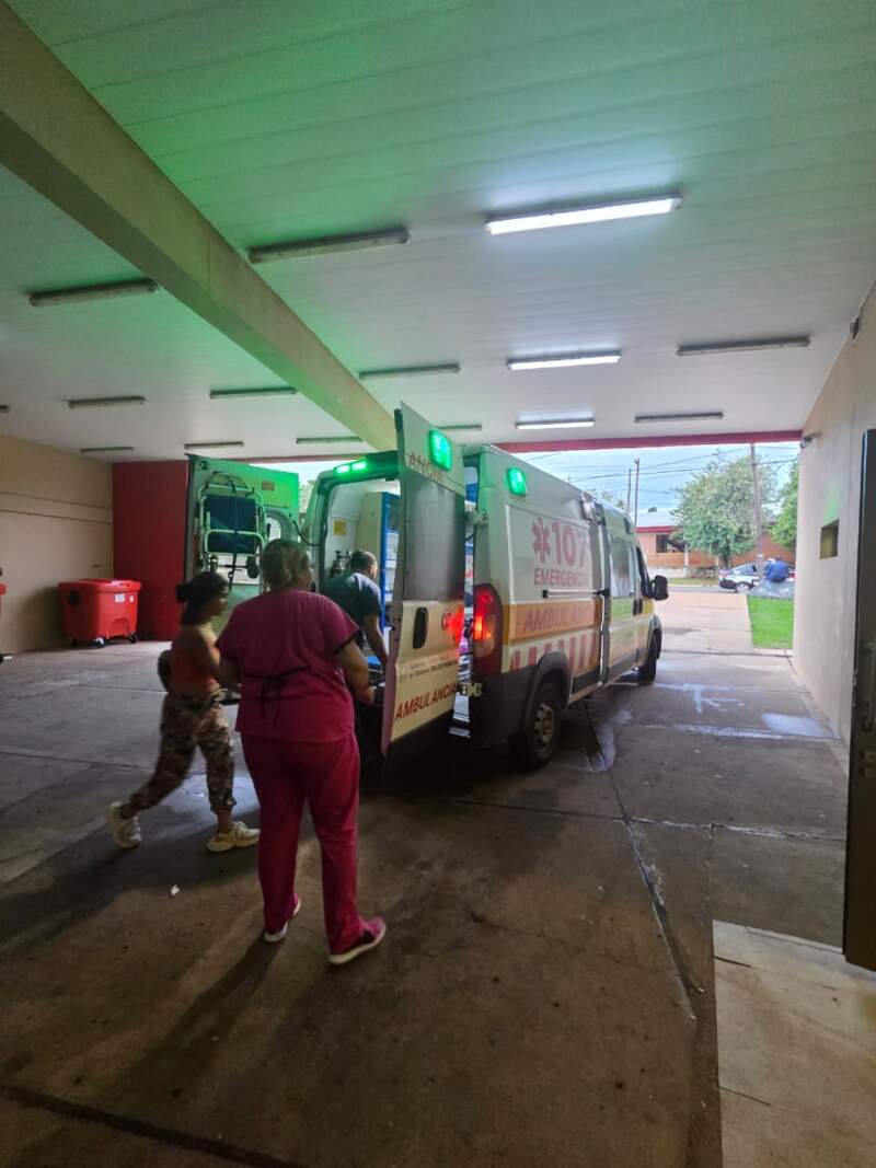 Un niño de 7 años sufrió lesiones tras ataque de perros en Posadas imagen-13