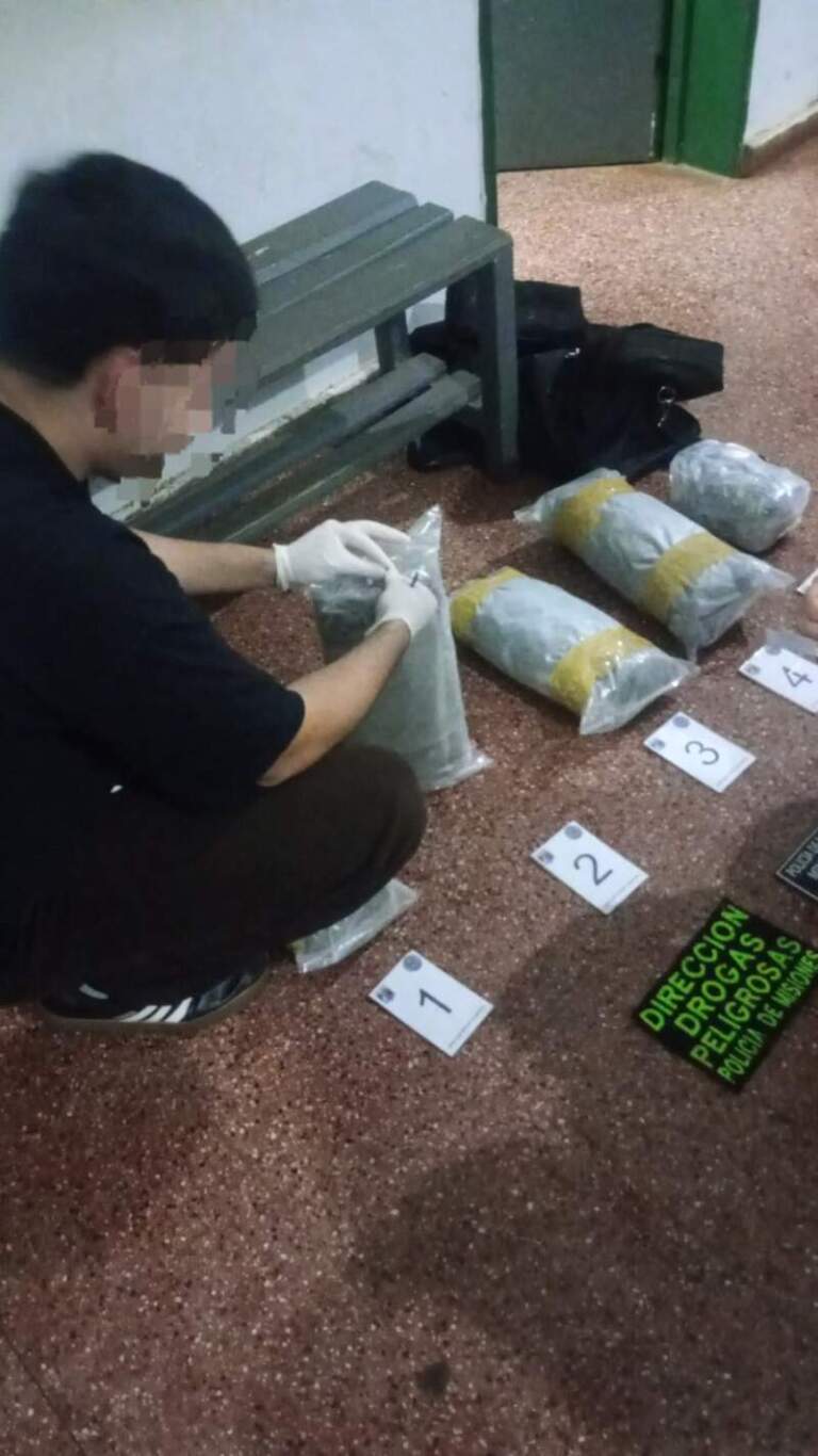 Más de $15 millones en marihuana fueron encontrados abandonados entre malezas en la costa posadeña imagen-42