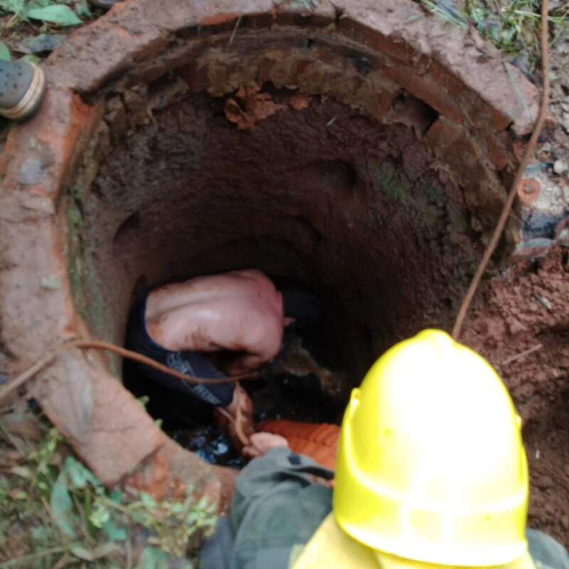 Rescate a contrarreloj en Santa Ana: un vacuno de 300 kilos cayó a un pozo de cuatro metros y movilizó a bomberos, vecinos y maquinaria pesada imagen-4