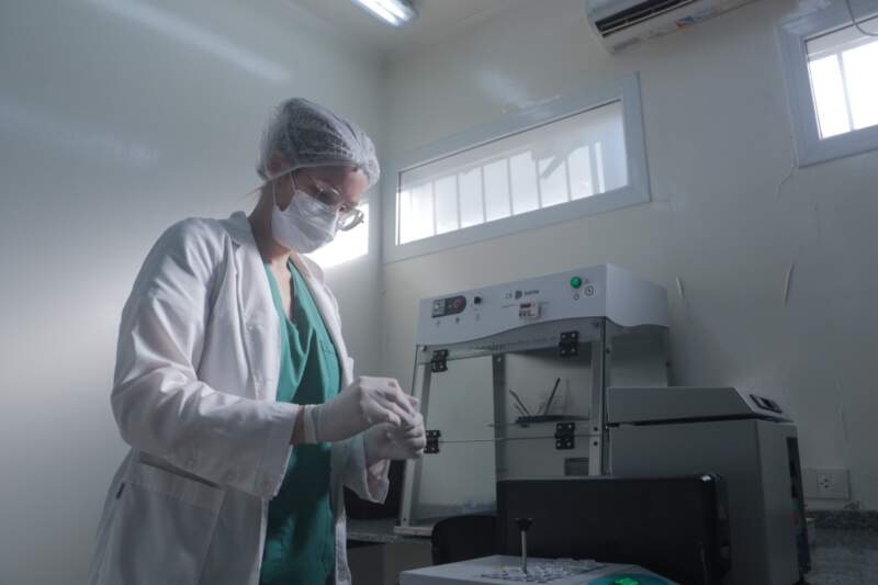 Cómo una ley provincial define el funcionamiento del Parque de la Salud y organiza el sistema sanitario en Misiones imagen-2