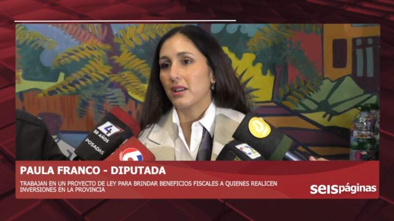 Misiones avanza con beneficios fiscales y simplificación tributaria para impulsar inversiones y empleo imagen-4