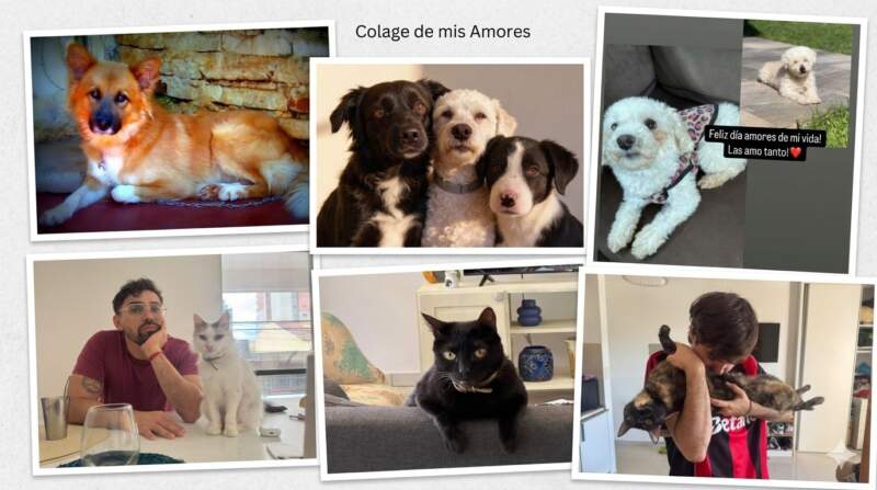 ¡Feliz Día del Animal! imagen-13