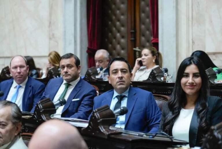 Obras viales, saneamiento y economías regionales: la respuesta de Adorni a los reclamos de los diputados de Encuentro Misionero Obras viales, saneamiento y economías regionales: la respuesta de Adorni a los reclamos de los diputados de Encuentro Misionero imagen-10