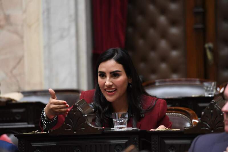 Obras viales, saneamiento y economías regionales: la respuesta de Adorni a los reclamos de los diputados de Encuentro Misionero imagen-2