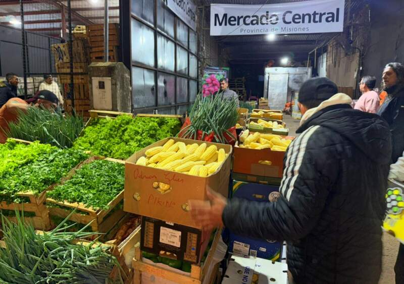 San Pedro: "Misiones Produce" para que el trabajo de la chacra tenga valor y futuro, se presentó en el Concejo Deliberante imagen-10