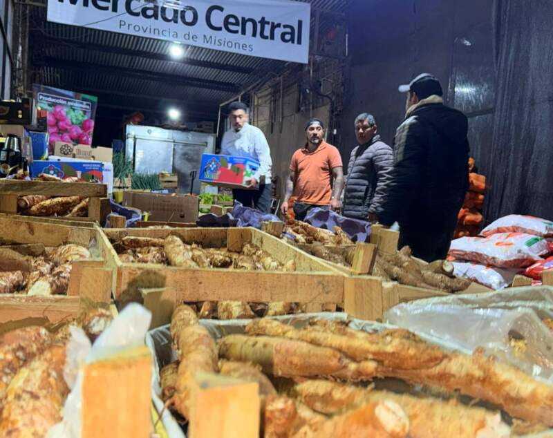 San Pedro: "Misiones Produce" para que el trabajo de la chacra tenga valor y futuro, se presentó en el Concejo Deliberante imagen-12