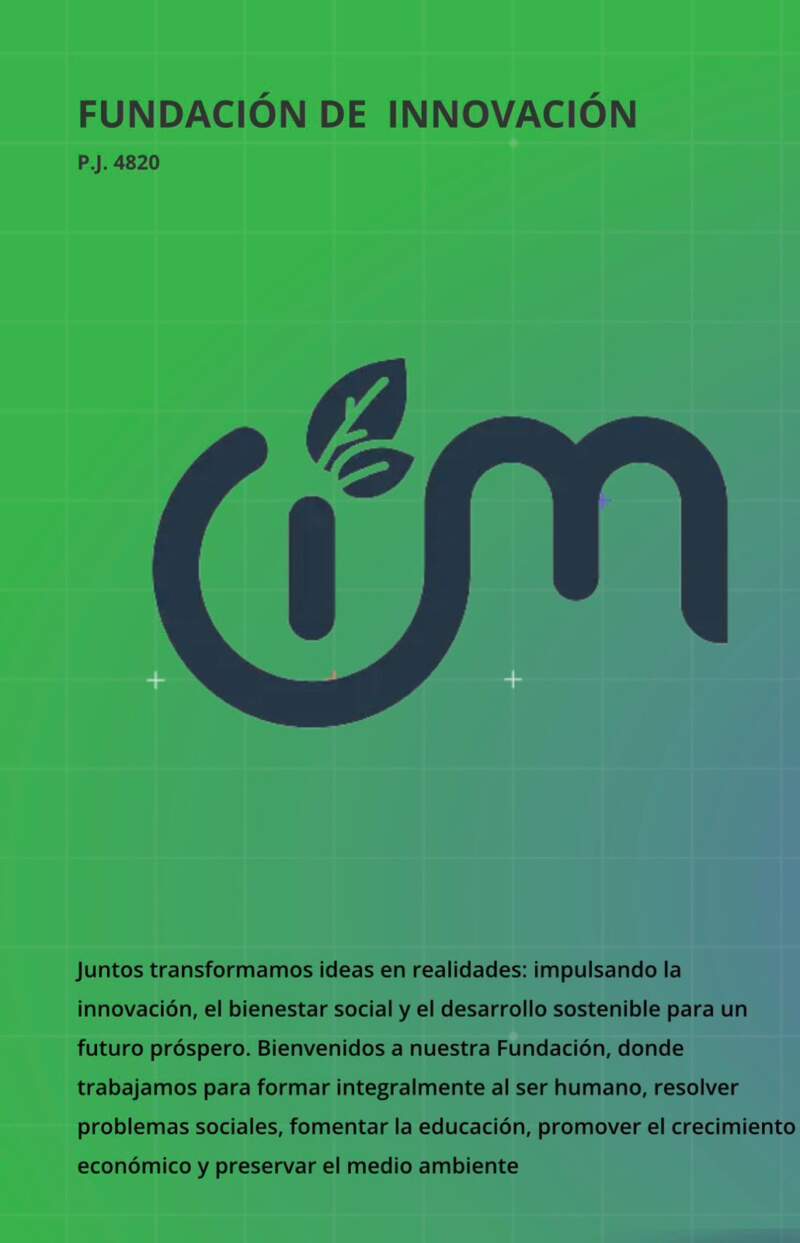 Polémica por la cesión de rezagos aduaneros a una fundación cuyo presidente se muestra ligado a LLA Misiones imagen-6