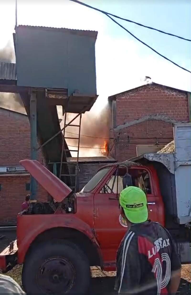 Bomberos controlaron un incendio en una cooperativa yerbatera de Jardín América imagen-12
