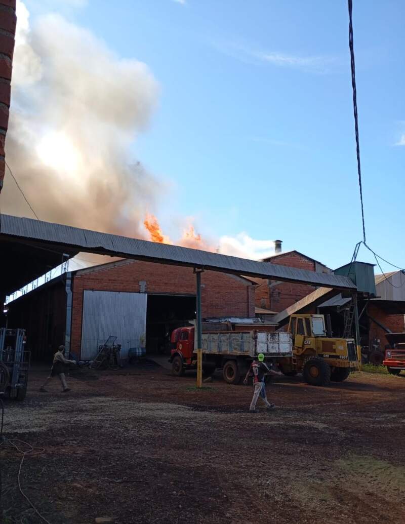 Bomberos controlaron un incendio en una cooperativa yerbatera de Jardín América imagen-2