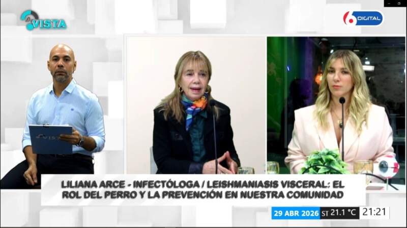 Leishmaniasis visceral: la enfermedad silenciosa que obliga a mirar también a nuestras mascotas imagen-2