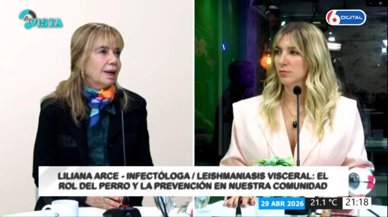 Leishmaniasis visceral: la enfermedad silenciosa que obliga a mirar también a nuestras mascotas imagen-6