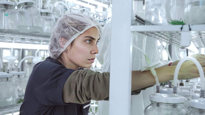 En el día de los Investigadores Científicos, la Biofábrica Misiones reafirma su compromiso con la investigación aplicada al desarrollo productivo de la provincia imagen-2