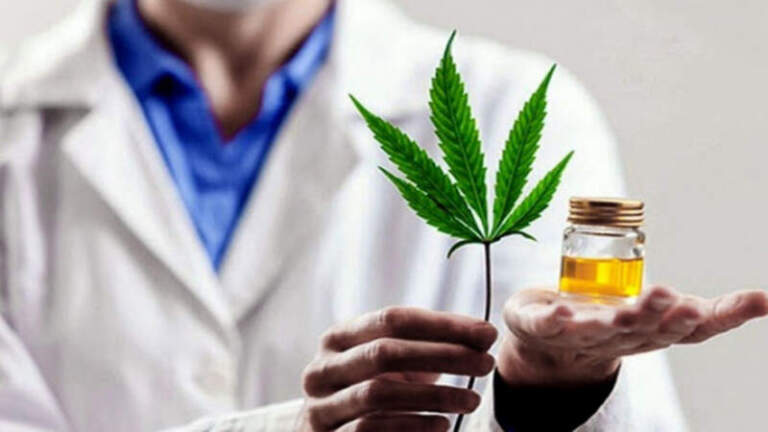 Cannabis medicinal, mitos y consultas reales: Punto de Vista abrió un debate cada vez más presente Cannabis medicinal, mitos y consultas reales: Punto de Vista abrió un debate cada vez más presente imagen-21