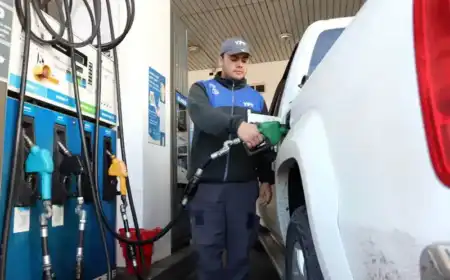 Desde que asumió Milei, la nafta súper en Misiones subió $1.656 por litro y pasó de valer USD 0,59 a USD 1,52 Desde que asumió Milei, la nafta súper en Misiones subió $1.656 por litro y pasó de valer USD 0,59 a USD 1,52 imagen-4