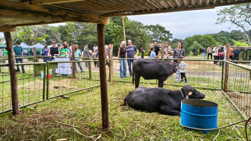 El Parque de las Naciones a pleno con la Exposición Agroindustrial Oberá 7 El Parque de las Naciones a pleno con la Exposición Agroindustrial Oberá imagen-6