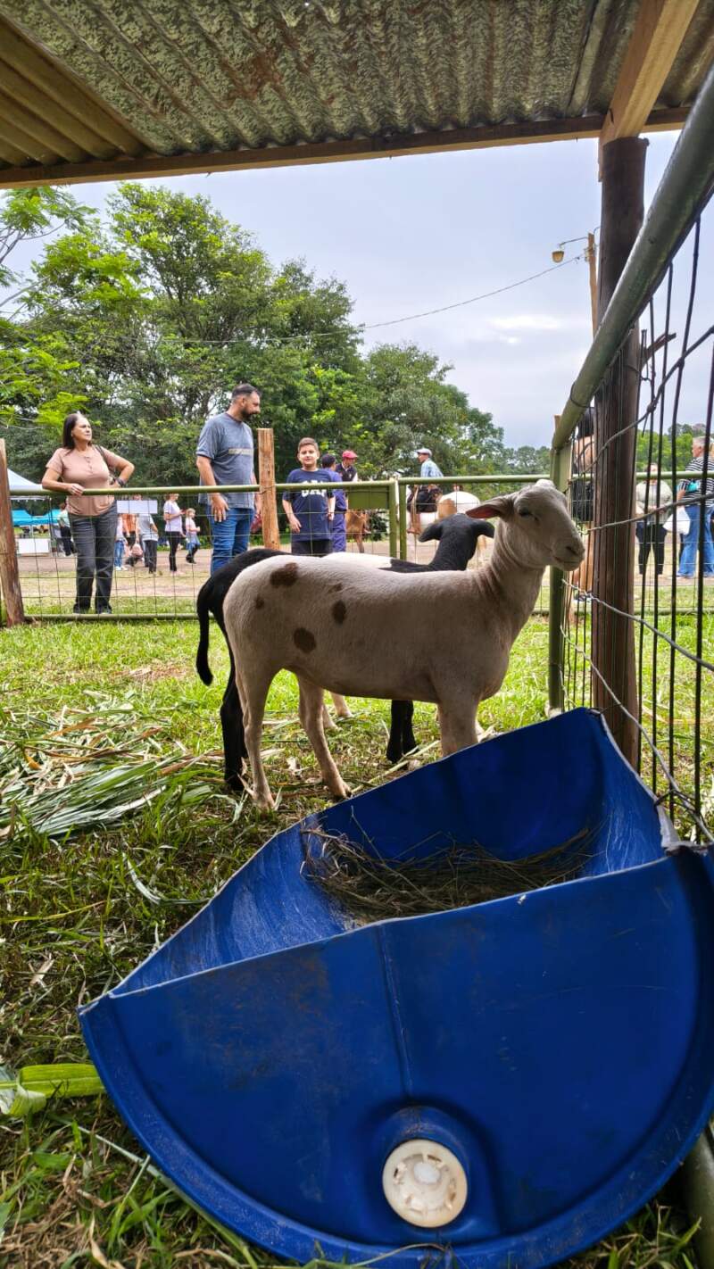 El Parque de las Naciones a pleno con la Exposición Agroindustrial Oberá 9 El Parque de las Naciones a pleno con la Exposición Agroindustrial Oberá imagen-8