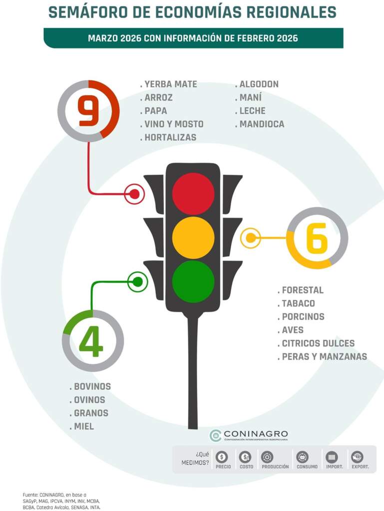 Economías regionales: la mandioca ingresó al semáforo en rojo junto a la yerba mate, luz amarilla para el tabaco y el sector forestal imagen-2