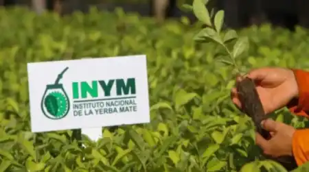 El bloque alineado a LLA se impuso en el Inym y rechazó fijar un precio para la hoja verde El bloque alineado a LLA se impuso en el Inym y rechazó fijar un precio para la hoja verde imagen-4