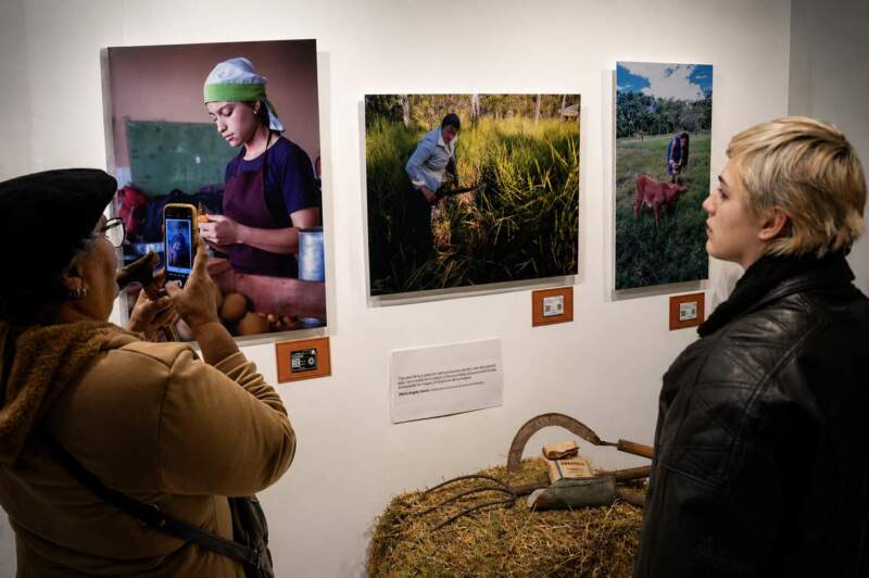 La muestra “Mujer Rural Misionera” llegó al Senado de la Nación para visibilizar el rol de las mujeres del campo misionero imagen-4