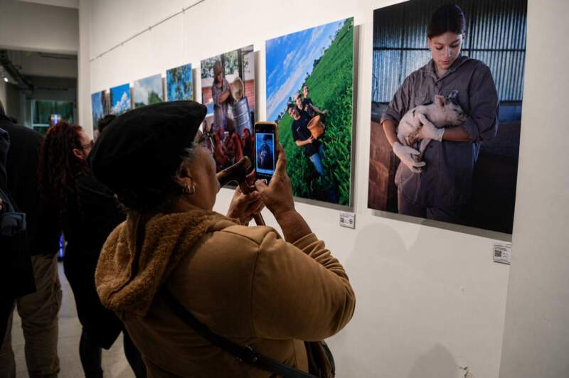 La muestra “Mujer Rural Misionera” llegó al Senado de la Nación para visibilizar el rol de las mujeres del campo misionero imagen-2