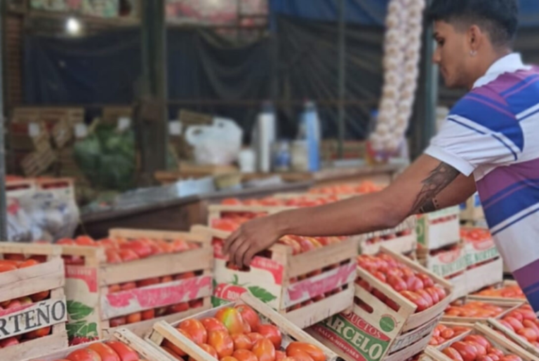 Con un nuevo esquema de venta directa, más de 30 familias productoras se incorporan al Mercado Central de Misiones Con un nuevo esquema de venta directa, más de 30 familias productoras se incorporan al Mercado Central de Misiones imagen-22