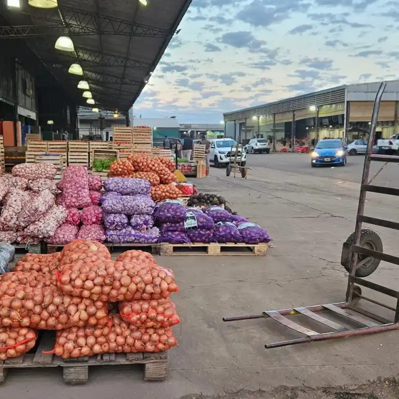 Con un nuevo esquema de venta directa, más de 30 familias productoras se incorporan al Mercado Central de Misiones imagen-2